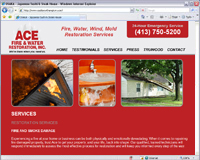 Click to visit Website