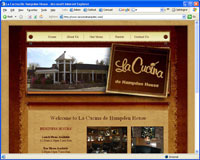 Click to visit Website